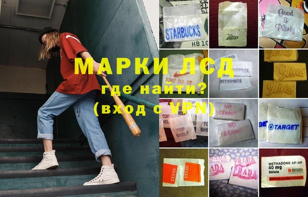 прущие грибы Аркадак