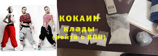 прущие грибы Аркадак