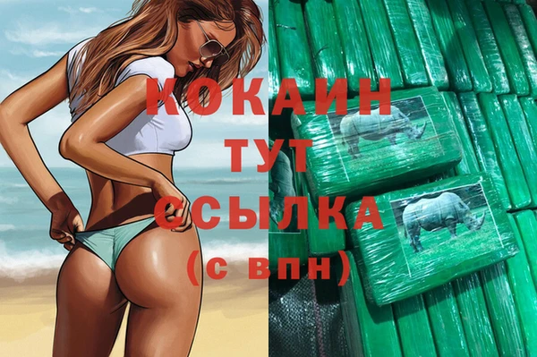 прущие грибы Аркадак