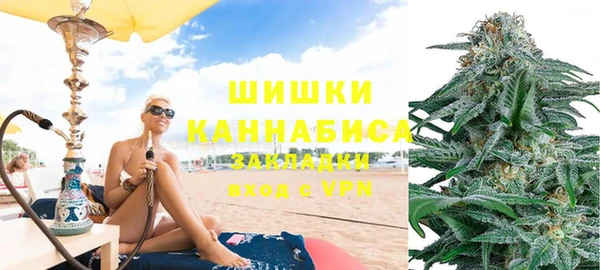 прущие грибы Аркадак