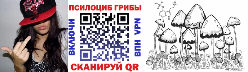 сайты даркнета клад  Ростов  Псилоцибиновые грибы Psilocybe 